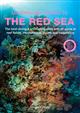 An Underwater Guide to the Red Sea