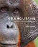 Orangutans: Their History, Natural History and Conservation