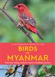 A Naturalist's Guide to the Birds of Myanmar