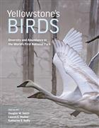 Yellowstone's Birds: Diversity and Abundance in the World's First National Park