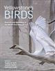 Yellowstone's Birds: Diversity and Abundance in the World's First National Park