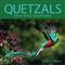 Quetzals: Icons of the Cloud Forest