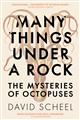 Many Things Under a Rock: The Mysteries of Octopuses