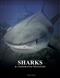 Sharks and Underwater Predators