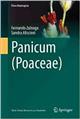 Panicum (Poaceae)