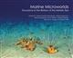 Marine Microworlds: Excursions to the Bottom of the Adriatic Sea
