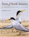 Terns of North America: A Photographic Guide