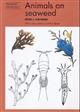 Animals on Seaweed (Naturalists' Handbooks 9)