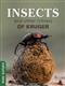 Insects and other Critters of Kruger