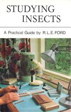 Studying Insects: A Practical Guide