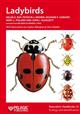 Ladybirds (Naturalists' Handbooks 10)