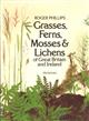 Grasses, Ferns, Mosses & Lichens of Great Britain and Ireland