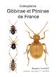 Coléoptères Gibbinae et Ptininae de France