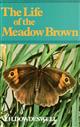 The Life of the Meadow Brown