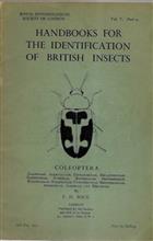 Coleoptera (Lagriidae, Aleculidae, Tetratomidae, Melandryidae, Salpingidae, Pythidae, Mycteridae, Oedemeridae, Mordellidae, Scraptiidae, Pyrochroidae, Rhipiphoridae, Anthicidae, Aderidae and Meloidae) (Handbooks for the Identification of British Insects 5/9)