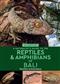 A Naturalist's Guide to the Reptiles & Amphibians of Bali