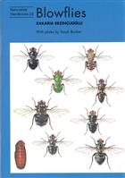 Blowflies (Naturalists' Handbooks 23)
