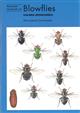 Blowflies (Naturalists' Handbooks 23)