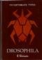 Drosophila (Invertebrate Types)