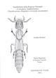 Xantholinini della Regione Orientale (Coleoptera: Staphylinidae) Classificazione, Filogenesi e Revisione Tassonomica