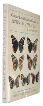 Colour Identification Guide to British Butterflies