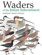 Waders of the Indian Subcontinent