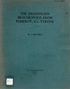 The Ordovician Brachiopoda from Pomeroy, Co. Tyrone