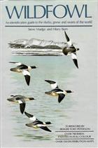 Wildfowl: An identification guide to the ducks, geese and swans of the world