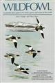 Wildfowl: An identification guide to the ducks, geese and swans of the world