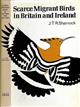 Scarce Migrant Birds of Britain and Ireland