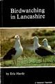 Birdwatching in Lancashire