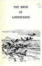 The Birds of Lindisfarne