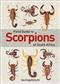 Field Guide to Scorpions of South Africa