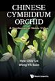 Chinese Cymbidium Orchid: A Gentleman of Noble Virtue