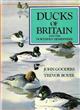 Ducks of Britain and the Northern Hemisphere