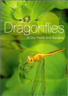 Dragonflies of our Parks and Gardens