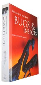 The Natural World of Bugs and Insects