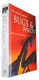 The Natural World of Bugs and Insects