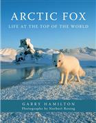 Arctic Fox: Life at the Top of the World