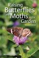 Raising Butterflies and Moths in the Garden