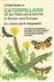 A Field Guide to Caterpillars of Butterflies and Moths in Britain and Europe