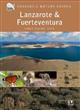 Crossbill Guide: Lanzarote and Fuerteventura Canary Islands - Spain