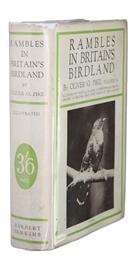 Rambles in Britain's Birdland