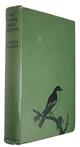 The Junior Bird-Watcher