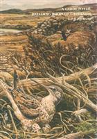 A Guide to the Breeding Birds of Caithness