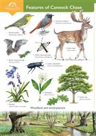 Features of Cannock Chase (Identification Chart)