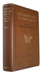 Bees, Wasps, Ants and Allied Insects of the British Isles