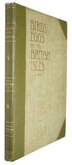 Birds' Eggs of the British Isles