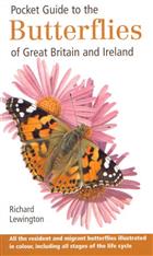 Pocket Guide to Butterflies of Great Britain and Ireland