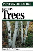 Eastern Trees